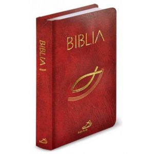 Biblia z kolorową wkładką - bordowa